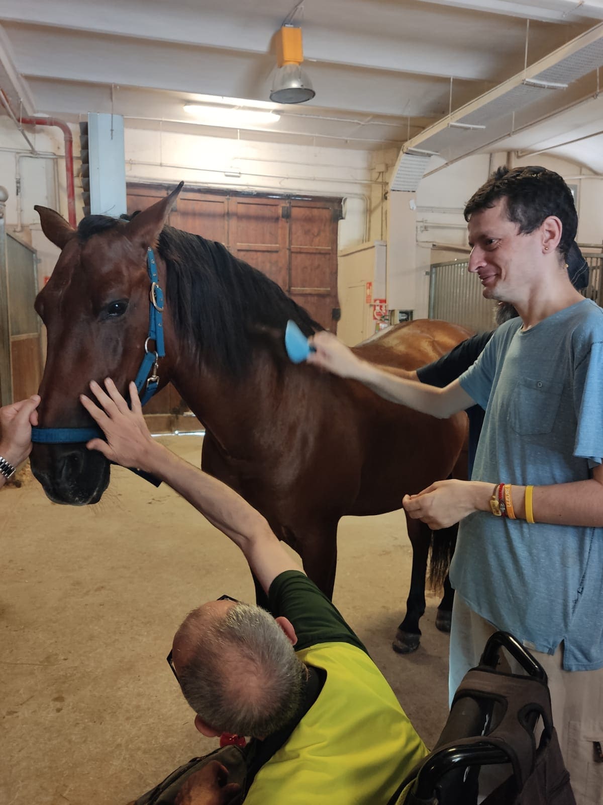 Usuarios dentro de las caballerizas tocando a un caballo en la visita a la Guardia Urbana Montada de Barcelona